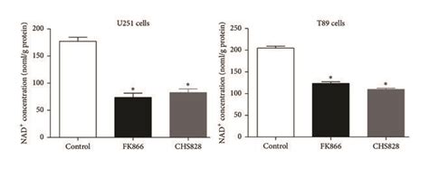 Nampt Inhibitor Sensitizes Glioblastoma Cells To Tmz Treatment A