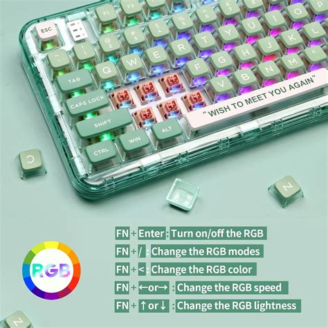 EPOMAKER CK75 75 Transparent Gasket Hot Swap RGB Nepal Ubuy