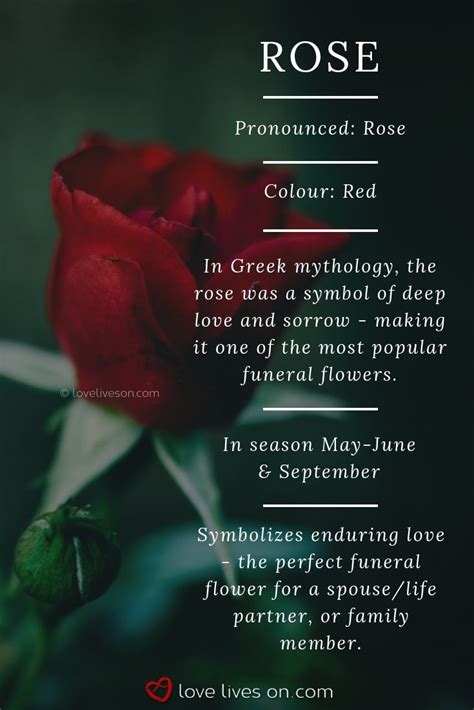 Funeral Flowers And Their Meanings The Ultimate Guide Flower Meanings Funeral Flowers Rose