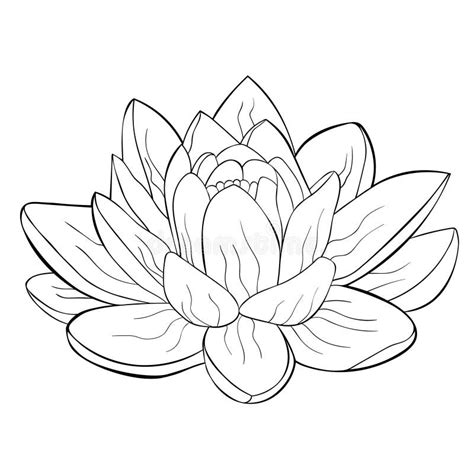 Mandala Da Pose De Lotus Da Colora O Ilustra O Do Vetor Ilustra O