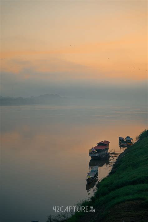 how to create a garden