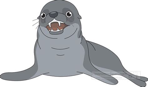 Angry Seal Showing Teeth Clipart Classroom Clip Art