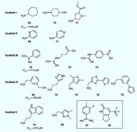 Hit Fragment Inhibitors Of Bovine Pancreatic Trypsin Compounds 66 80 Download Scientific