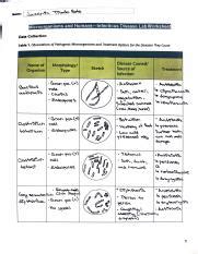 Infectious Disease Worksheet