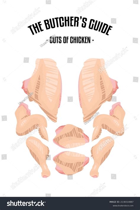 Meat Chicken Cuts Diagrams Butcher Shop Stock Vector Royalty Free