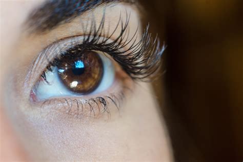 Eyelash Perm (Lash Lift): What It Is, Safety Concerns, and Best DIY Kits