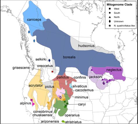 Map Of Geographic Ranges Of Subspecies Boundaries For N Minimus And Download Scientific