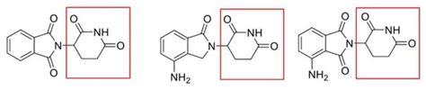 Molecular Glue Decoded The Next Big Trend In The Small Molecule Drug Arena