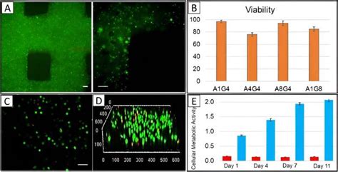 A D Bioprinted Tumor On A Chip Model