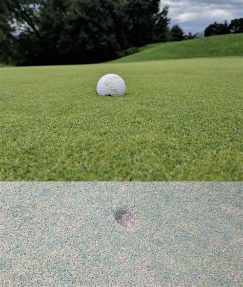 Ball Embedded In Green Ruling Please Rgolf