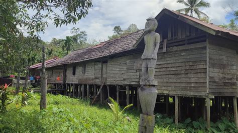 Melelahkan Ke Perkampungan Suku Dayak Penghuni Ujung Sungai