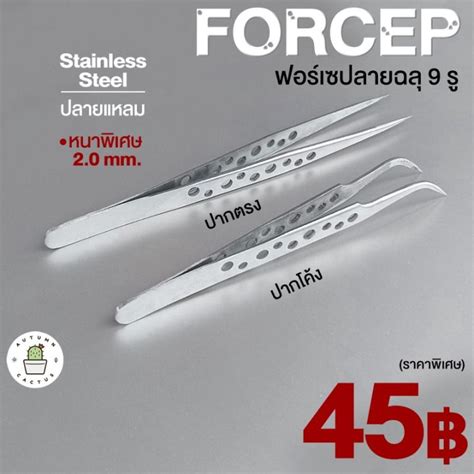 Forcep ฟอรเซป ลายฉล เจาะร ฟอเซป ปากตรง ปากโคง ปากคบ สแตนเลส หนา 2