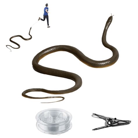 Fake Snake Snake Prank With Rope And Clip Realistic Rubber Snake