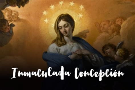 Solemnidad De La Inmaculada Concepción