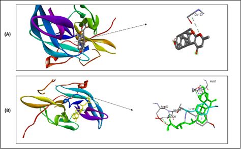 Visualization Of Docked Complex And Ligand Interaction With Protein