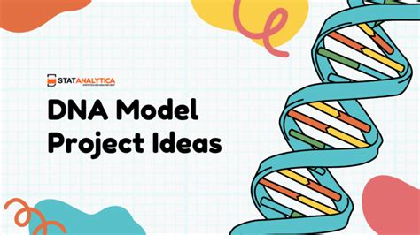 Dna Model Project Ideas Beginner To Advanced Level Updated