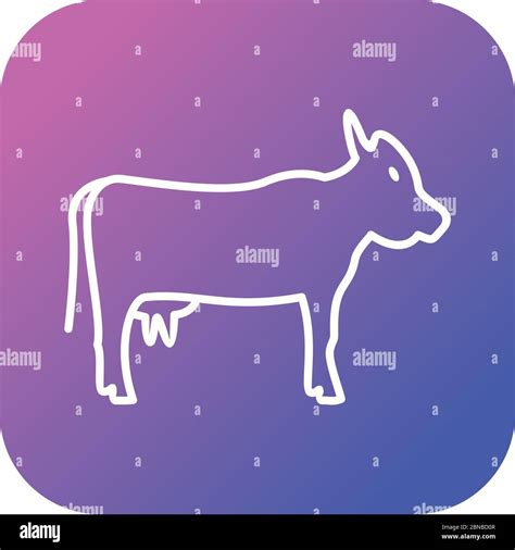 Beautiful Cow Line Vector Icon Stock Vector Image Art Alamy