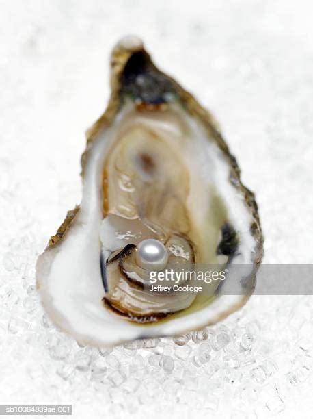 Pearl Inside Oyster Shell ストックフォトと画像 Getty Images