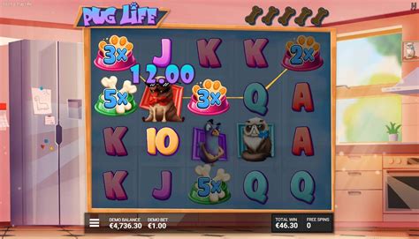 Pug Life Slot Review 2022 Pug Life Slot Hacksaw Gaming