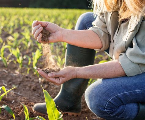 Soil Testing 101 Everything Gardeners Need To Know Gardening Know How