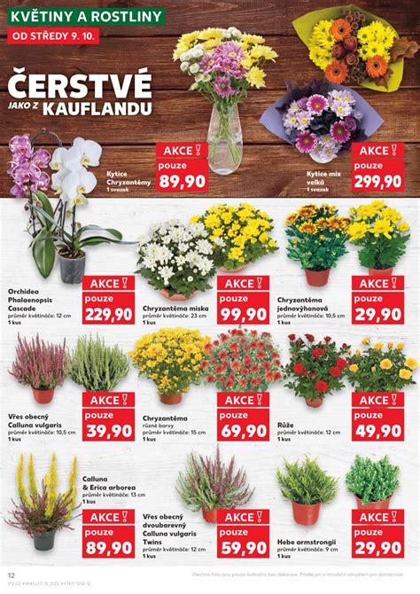 Kaufland leták Beroun od 9 10 Kupi cz