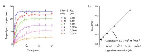 Analyzing Kinetic Binding Data Assay Guidance Manual NCBI Bookshelf