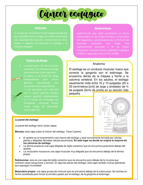 Cancer Esofagico Cncer Esofgico Definici N Es Un Tipo De