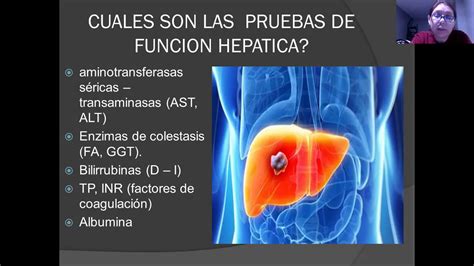 Pruebas De Funcion Hepatica Parte Youtube