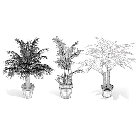 indoor palm collection - FlippedNormals