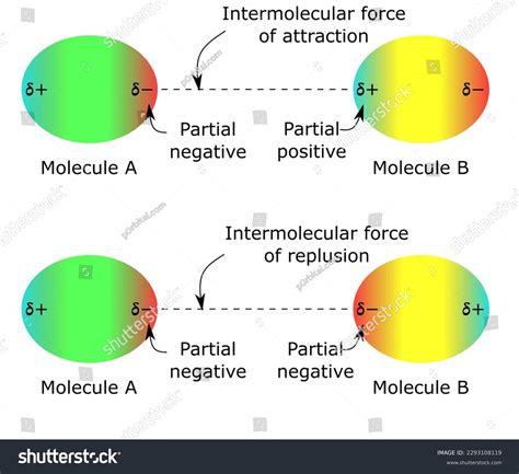 Intermolecular Forces