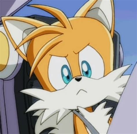 Tails From Sonic X But Angy Shadow The Hedgehog Sonic The Hedgehog