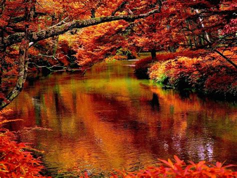 Autumn Creek Wallpaper | Free Autumn Downloads