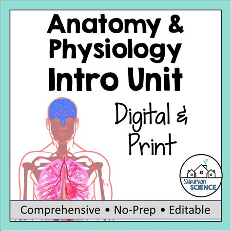 Introduction To Anatomy And Physiology Unit Suburban Science