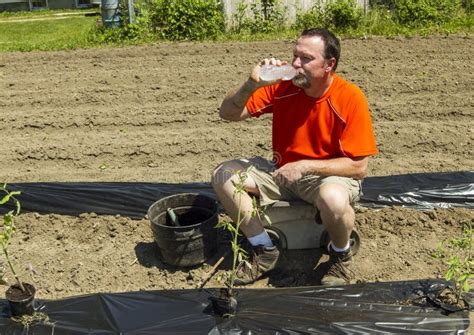 Organic Farmer Taking A Water Break Stock Image Image Of Water