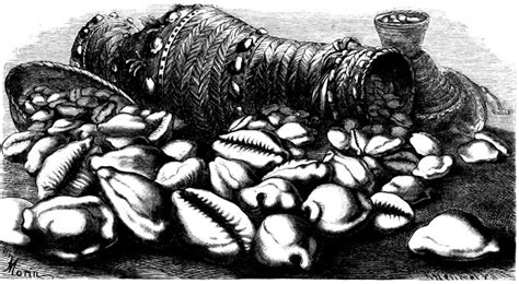 The Quaint Cowrie Trade That Once Linked The Maldives With Eastern