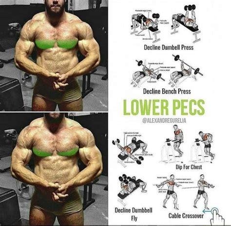 Lower Chest Workout Pec Workouts Muscle Building Workouts Weight Training Workouts Chest