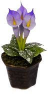 Calla Lily Lavender Mary S Dollhouse Miniature Accessories