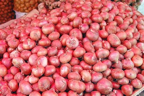 Onion Import To Stabilise Market The Financial Express