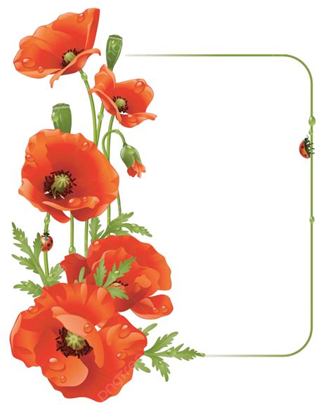 Red Poppy Frame Line Petal Greeting Vector Line Petal Greeting PNG