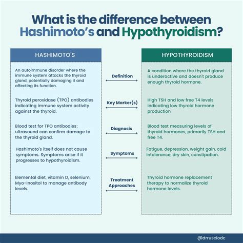 Michael Ruscio Dnm Dc On Linkedin What Is Hashimoto’s How To Prevent Hypothyroidism