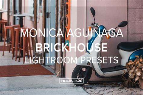 Monica Aguinaga Brickhouse Lightroom Presets - FilterGrade