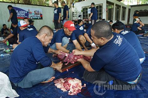 Tiki Dan Jne Rayakan Idul Adha H Dengan Semangat Kebersamaa Foto