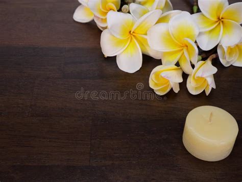 Yellow flowers stock image. Image of greenery, purity - 10718621