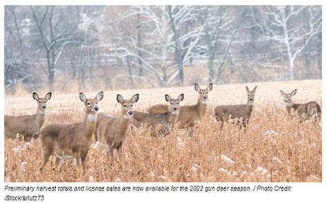 Wisconsin Dnr 2022 Preliminary Gun Deer Harvest Totals Green Bay