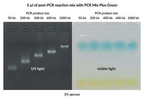 PCR Mix Plus Green