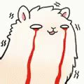 Cat Crying Sticker - Cat Crying White Cat - Discover & Share GIFs