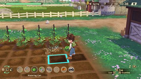 Story Of Seasons A Wonderful Life For Nintendo Switch Nintendo