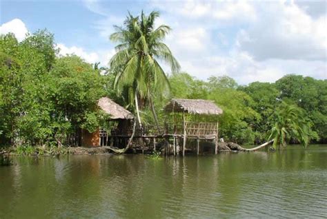 Pantanos De Centla Tabasco Turimexico