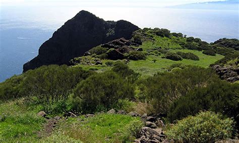 Parques Nacionales de las Islas Canarias. Flora de las Islas Canarias ...