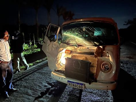 Regi O Vaca Na Pista Provoca Acidente Kombi Que Transportava